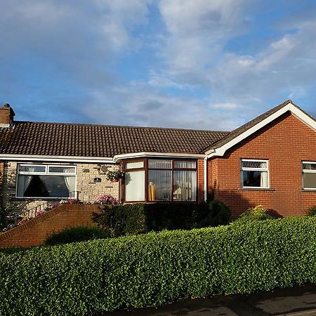 Number Nine Accommodation Downpatrick Buitenkant foto